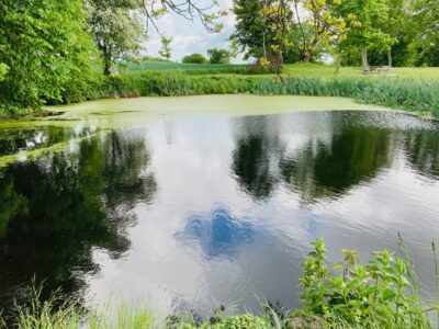 Deltag i forskønnelsen af vores hyggelige landsby.
